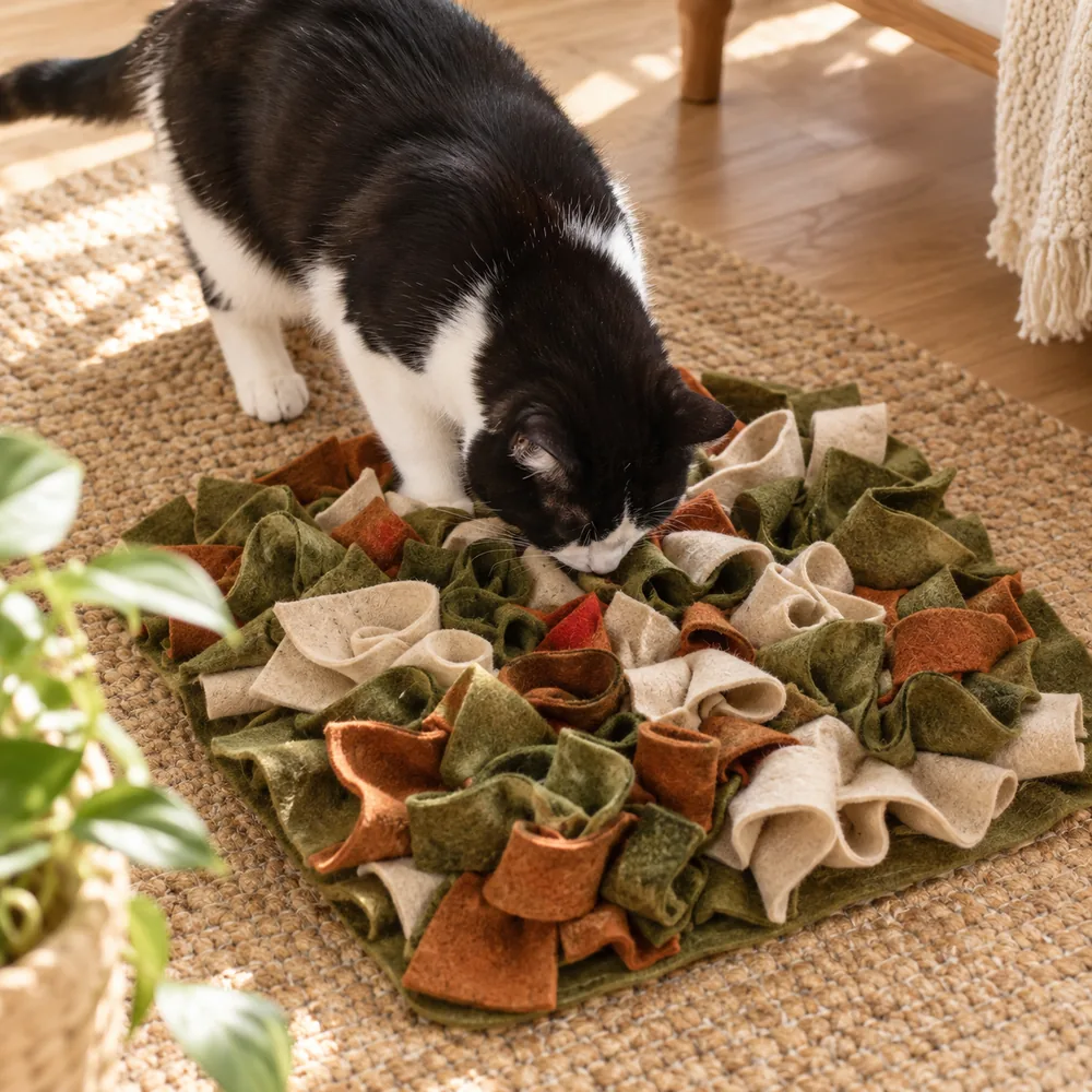 Illustration d'un chat explorant un tapis de fouille olive et rouille